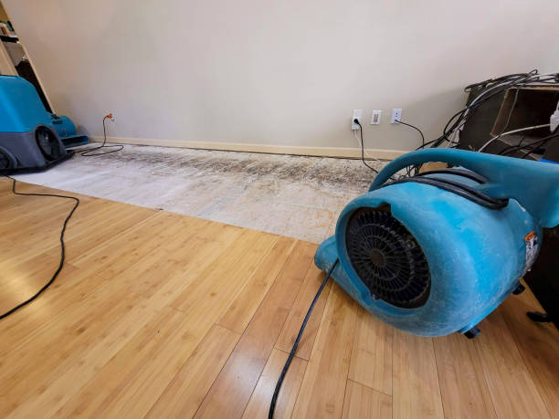 Professional Sewage Cleanup technician working in Mechanic Falls, ME